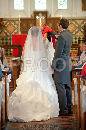 Stygall wed_235