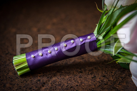 Houghton wed_017