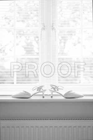 Houghton wed_035
