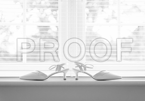 Houghton wed_037