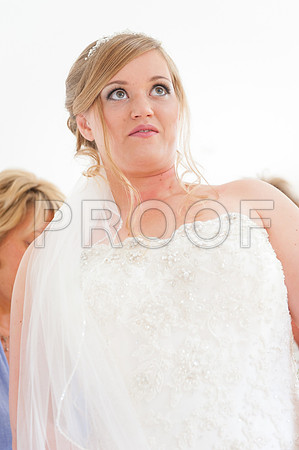 Houghton wed_073