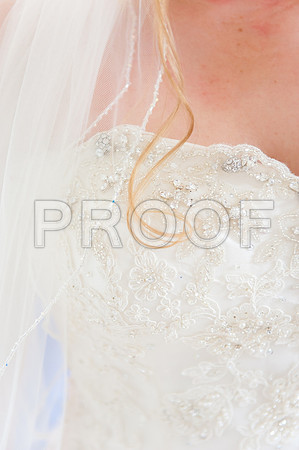 Houghton wed_084