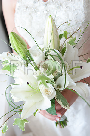Houghton wed_106