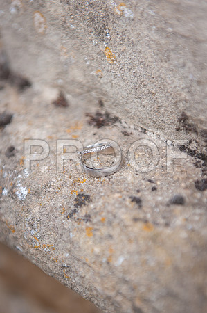 Houghton wed_159