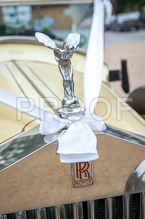 Houghton wed_298