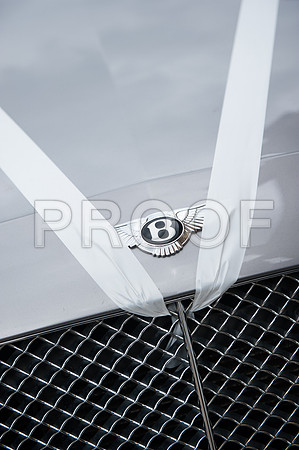 Houghton wed_334