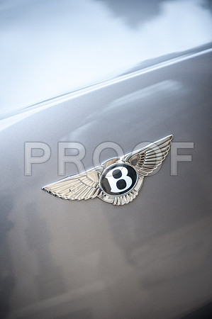 Houghton wed_343