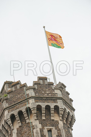 Houghton wed_348