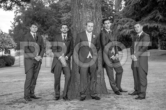 Houghton wed_400