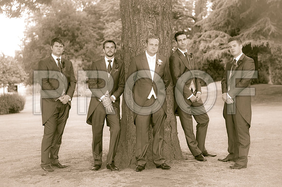 Houghton wed_401