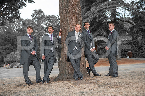 Houghton wed_403