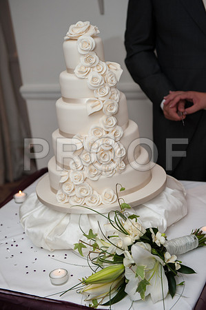 Houghton wed_441