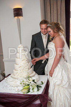 Houghton wed_442