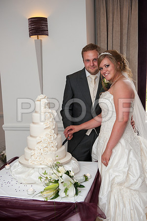 Houghton wed_443