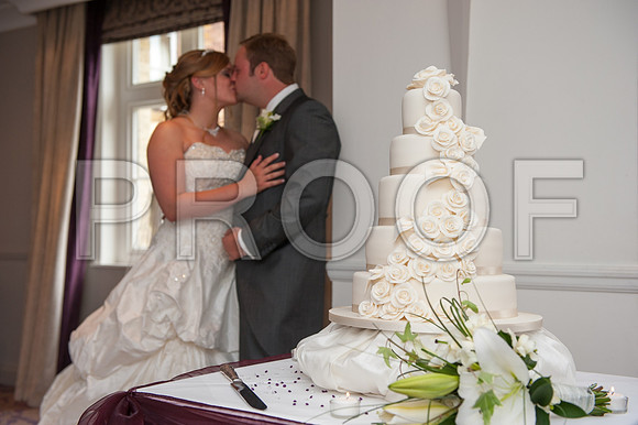 Houghton wed_445