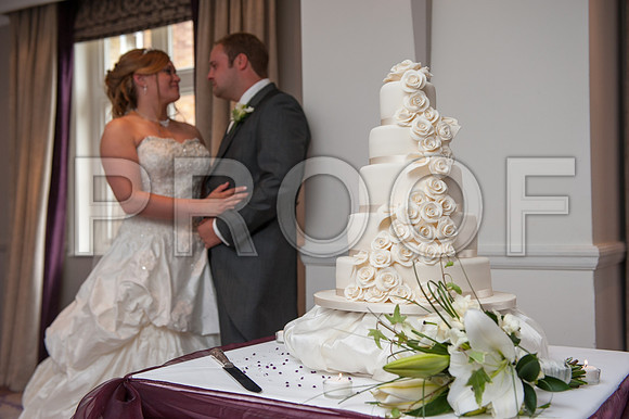 Houghton wed_446