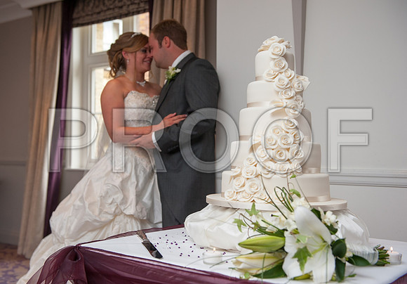 Houghton wed_448