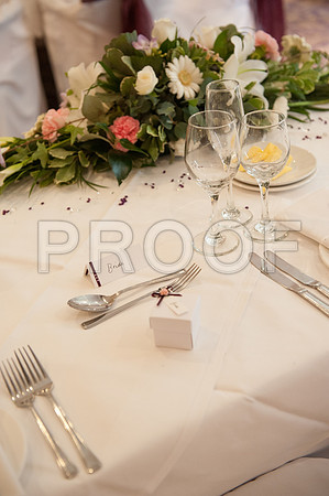 Houghton wed_451