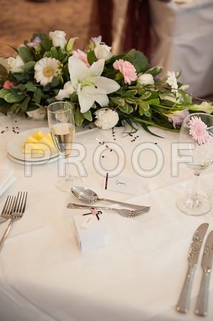 Houghton wed_452