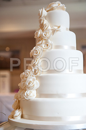 Houghton wed_453