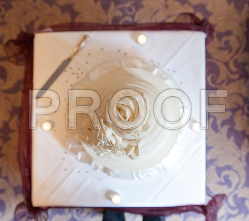 Houghton wed_456