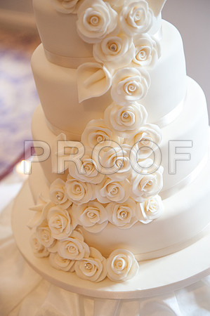 Houghton wed_457