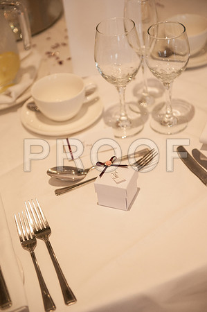 Houghton wed_458