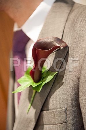 Houghton wed_461