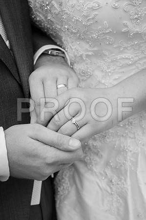 Houghton wed_466