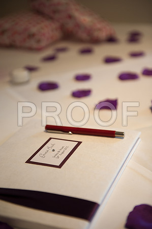 Houghton wed_473