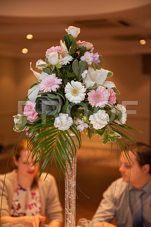 Houghton wed_480