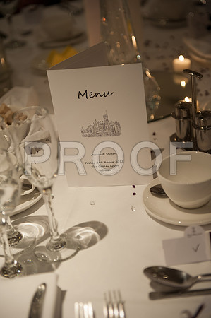Houghton wed_481