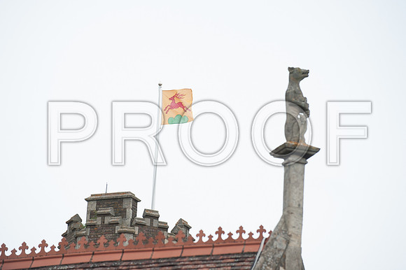 Houghton wed_492