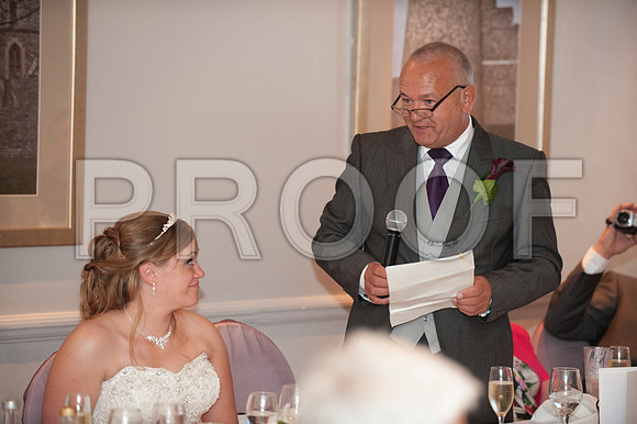 Houghton wed_497