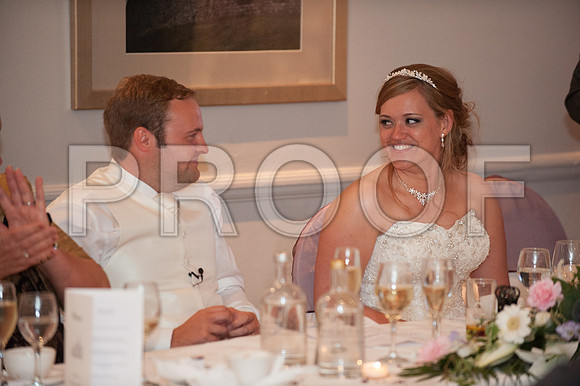Houghton wed_498
