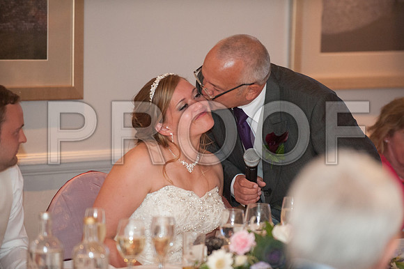 Houghton wed_501