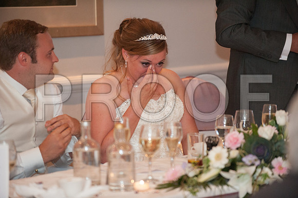 Houghton wed_503