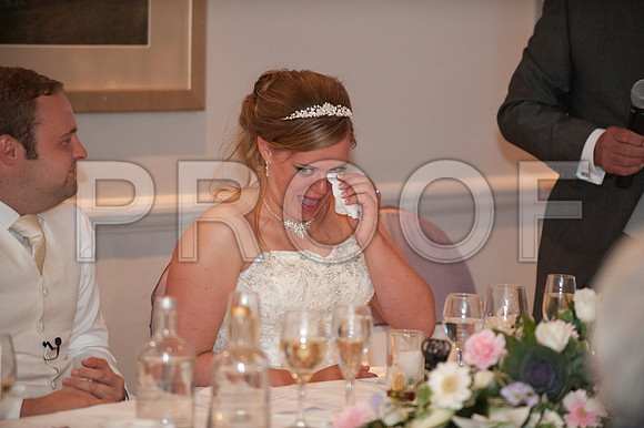 Houghton wed_504