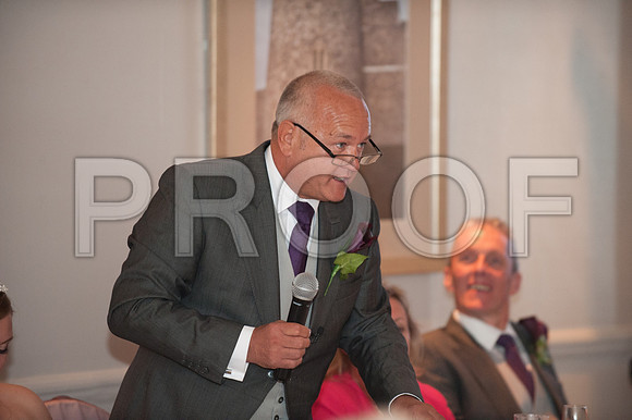 Houghton wed_507