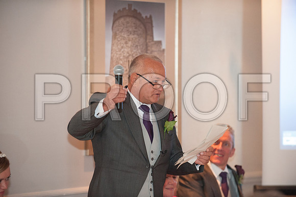 Houghton wed_509