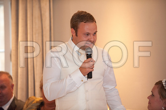 Houghton wed_527