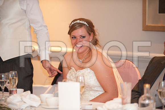 Houghton wed_529