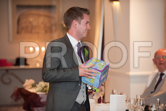 Houghton wed_538