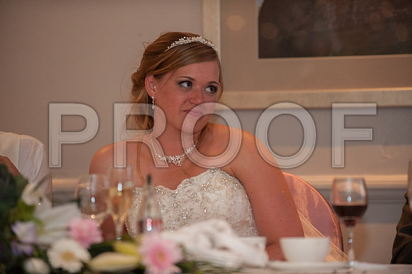 Houghton wed_544
