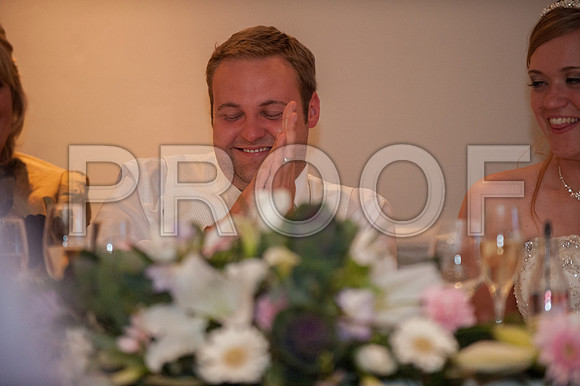 Houghton wed_546