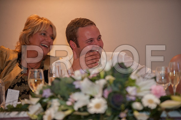 Houghton wed_550