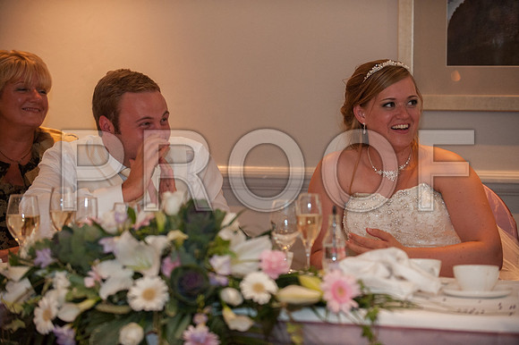 Houghton wed_560