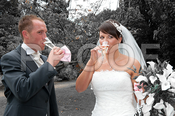 Shakespeare wed_152-2