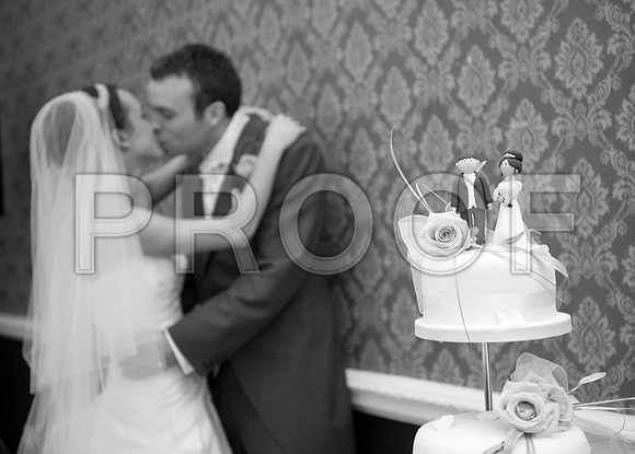 Stygall wed_469