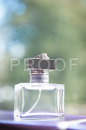 Harrison wed_033